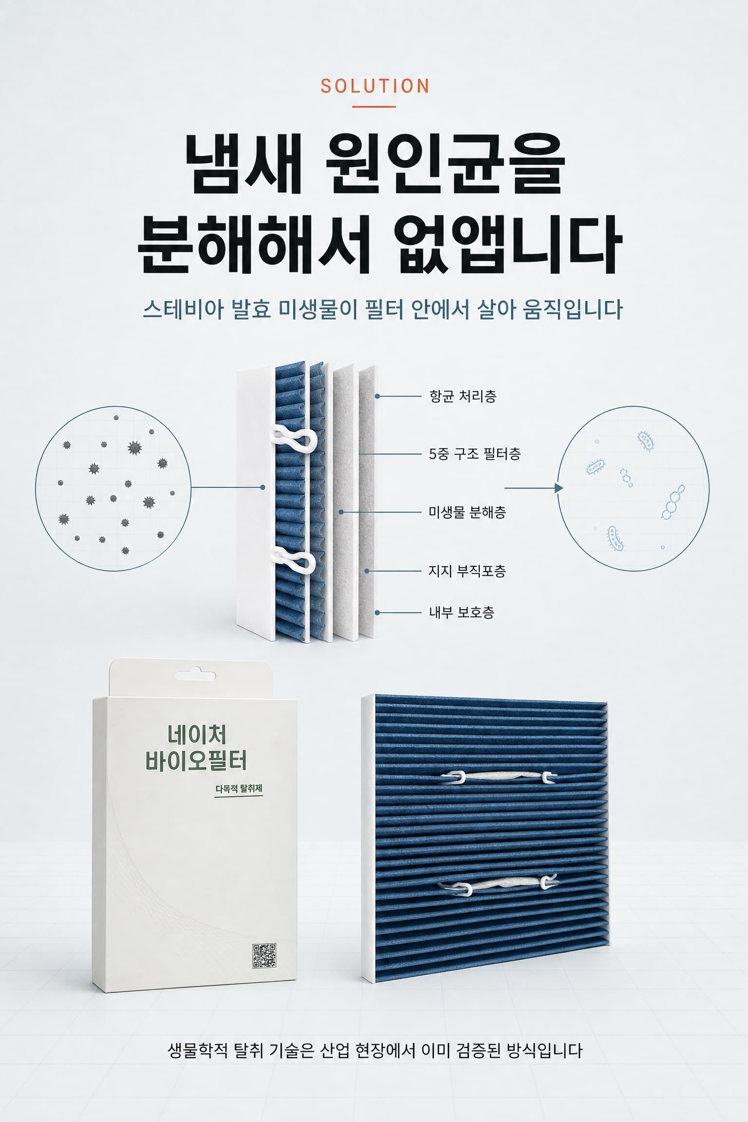 바이오 필터 적용 전후 안내