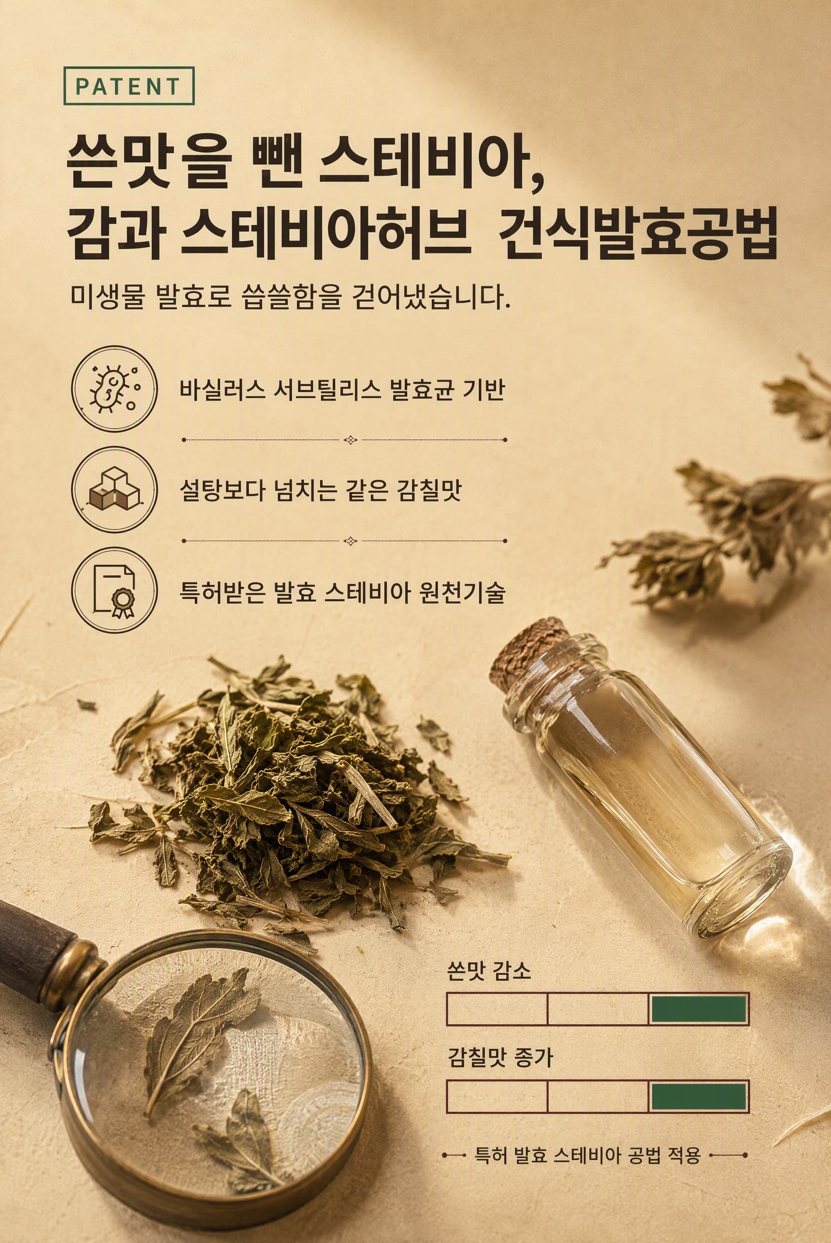 발효 스테비아 안내